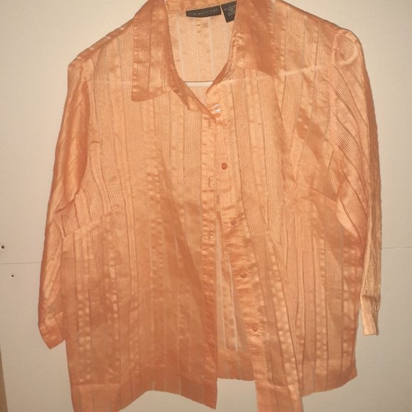 (Relativity) L Sheer Long Sleeve Top - Picture 1 of 3